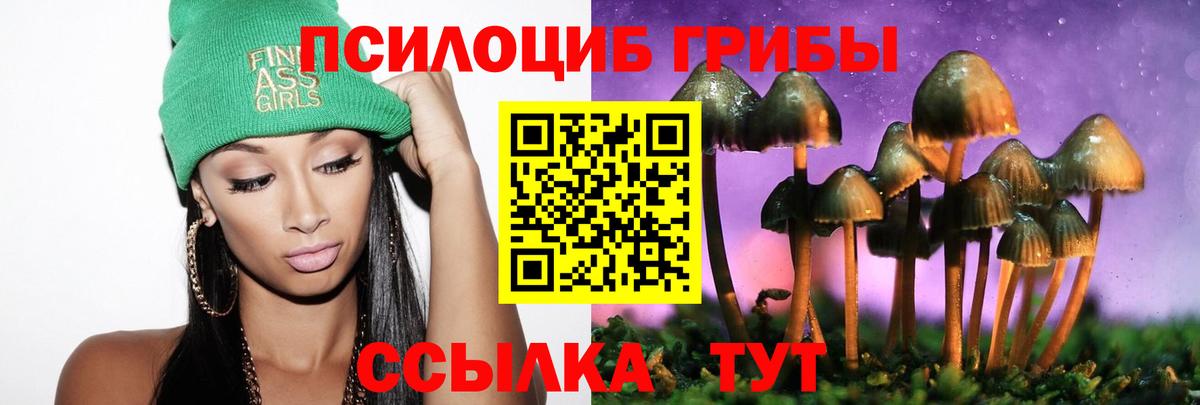 Псилоцибиновые грибы MAGIC MUSHROOMS  Псилоцибиновые грибы Psilocybe  Кондопога  Вход с VPN 